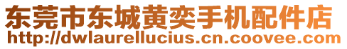 東莞市東城黃奕手機配件店