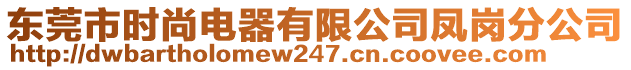 東莞市時(shí)尚電器有限公司鳳崗分公司