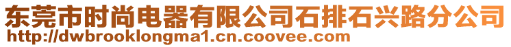 東莞市時尚電器有限公司石排石興路分公司