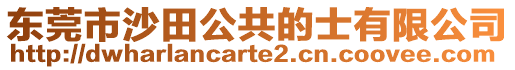 東莞市沙田公共的士有限公司