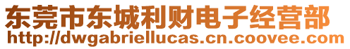 東莞市東城利財電子經營部