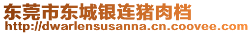 東莞市東城銀連豬肉檔