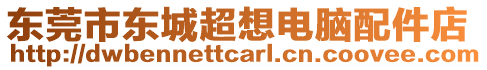 東莞市東城超想電腦配件店