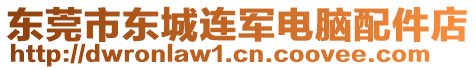 東莞市東城連軍電腦配件店