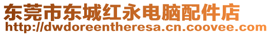 東莞市東城紅永電腦配件店