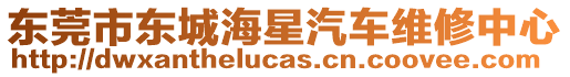 東莞市東城海星汽車維修中心