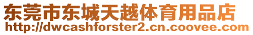 東莞市東城天越體育用品店