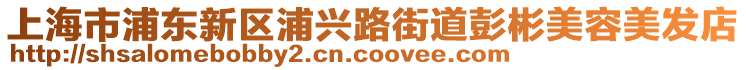 上海市浦東新區(qū)浦興路街道彭彬美容美發(fā)店