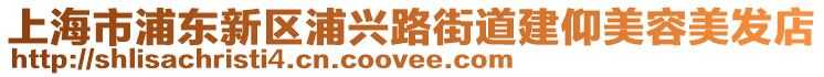 上海市浦東新區(qū)浦興路街道建仰美容美發(fā)店