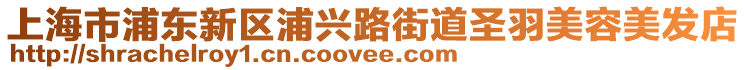 上海市浦東新區(qū)浦興路街道圣羽美容美發(fā)店