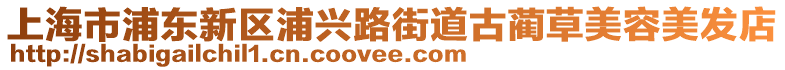 上海市浦東新區(qū)浦興路街道古藺草美容美發(fā)店