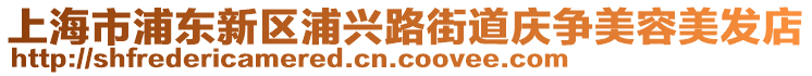 上海市浦東新區(qū)浦興路街道慶爭美容美發(fā)店