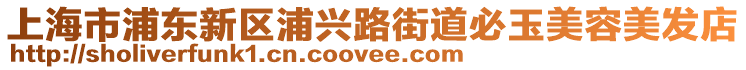 上海市浦东新区浦兴路街道必玉美容美发店