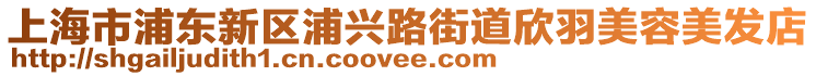 上海市浦东新区浦兴路街道欣羽美容美发店