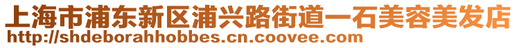 上海市浦东新区浦兴路街道一石美容美发店