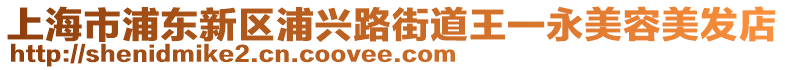 上海市浦東新區(qū)浦興路街道王一永美容美發(fā)店