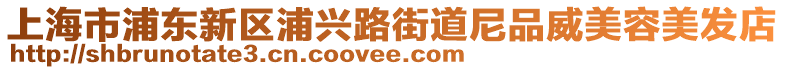 上海市浦東新區(qū)浦興路街道尼品威美容美發(fā)店