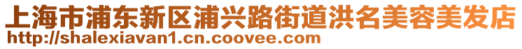 上海市浦东新区浦兴路街道洪名美容美发店