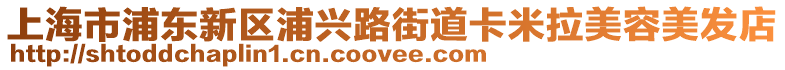 上海市浦東新區(qū)浦興路街道卡米拉美容美發(fā)店