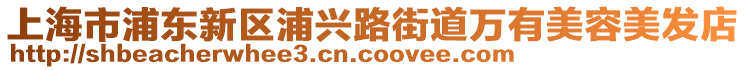 上海市浦东新区浦兴路街道万有美容美发店