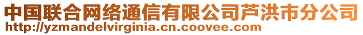 中國(guó)聯(lián)合網(wǎng)絡(luò)通信有限公司蘆洪市分公司