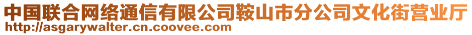 中國聯(lián)合網(wǎng)絡(luò)通信有限公司鞍山市分公司文化街營業(yè)廳