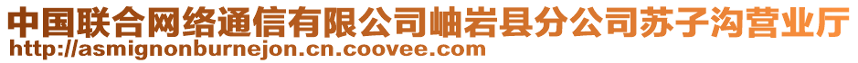 中國(guó)聯(lián)合網(wǎng)絡(luò)通信有限公司岫巖縣分公司蘇子溝營(yíng)業(yè)廳