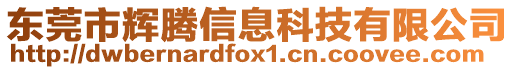 東莞市輝騰信息科技有限公司