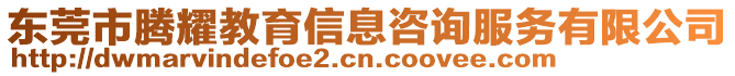 東莞市騰耀教育信息咨詢服務有限公司