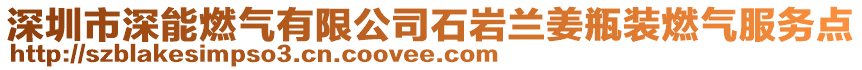 深圳市深能燃?xì)庥邢薰臼瘞r蘭姜瓶裝燃?xì)夥?wù)點(diǎn)