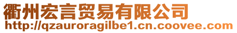 衢州宏言貿易有限公司