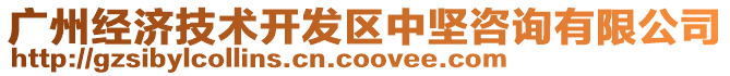 廣州經(jīng)濟(jì)技術(shù)開發(fā)區(qū)中堅(jiān)咨詢有限公司