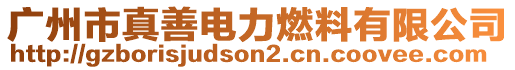 广州市真善电力燃料有限公司