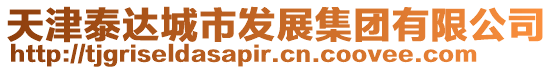 天津泰達(dá)城市發(fā)展集團(tuán)有限公司