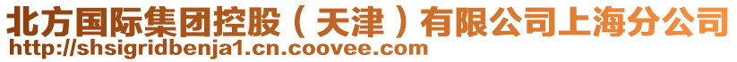 北方國(guó)際集團(tuán)控股（天津）有限公司上海分公司