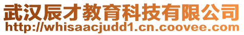 武汉辰才教育科技有限公司