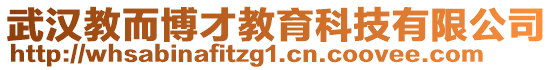 武漢教而博才教育科技有限公司