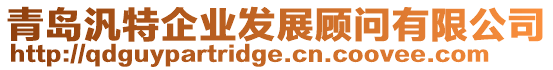 青島汎特企業(yè)發(fā)展顧問有限公司