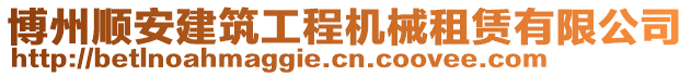 博州順安建筑工程機(jī)械租賃有限公司