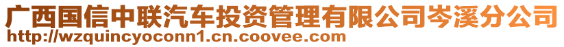 广西国信中联汽车投资管理有限公司岑溪分公司