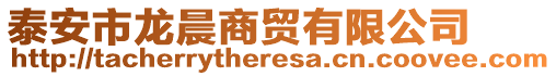 泰安市龍晨商貿(mào)有限公司