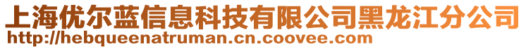 上海優(yōu)爾藍(lán)信息科技有限公司黑龍江分公司