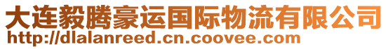 大連毅騰豪運(yùn)國際物流有限公司