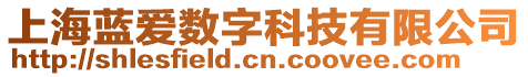 上海藍(lán)愛數(shù)字科技有限公司