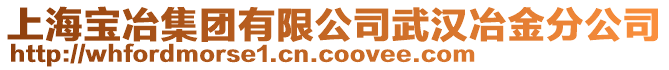 上海寶冶集團有限公司武漢冶金分公司