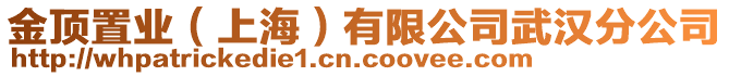 金頂置業(yè)（上海）有限公司武漢分公司