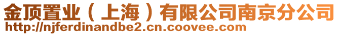 金頂置業(yè)（上海）有限公司南京分公司