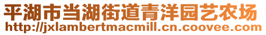 平湖市當(dāng)湖街道青洋園藝農(nóng)場