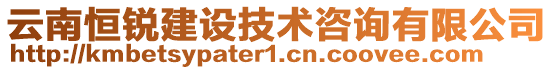 云南恒銳建設(shè)技術(shù)咨詢有限公司