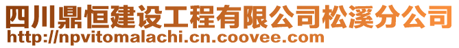 四川鼎恒建設(shè)工程有限公司松溪分公司